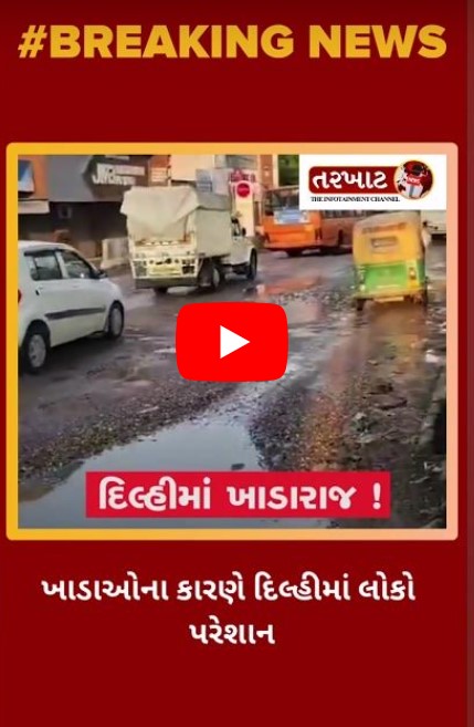 Delhi Condition - ખાડાઓના કારણે દિલ્હીમાં લોકો પરેશાન .